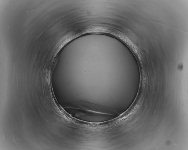 X0000098230945200805081219