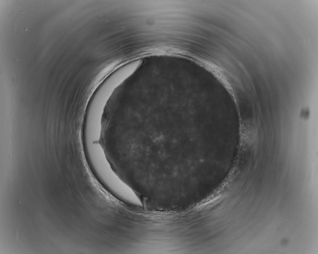 X0000098230946200805081219