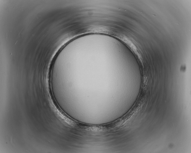 X0000098230947200805081219