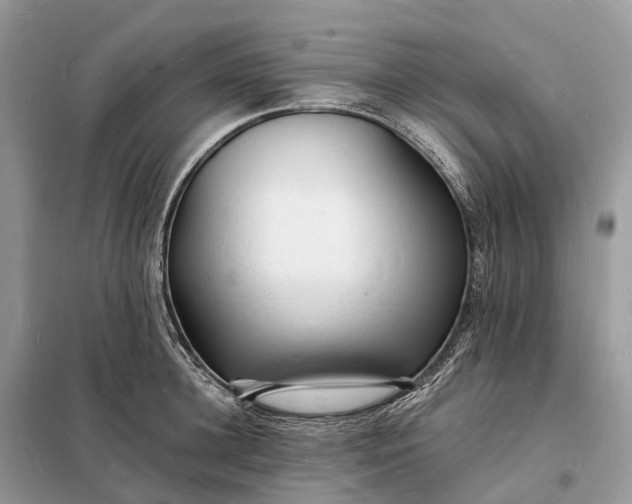 X0000098230948200805081219