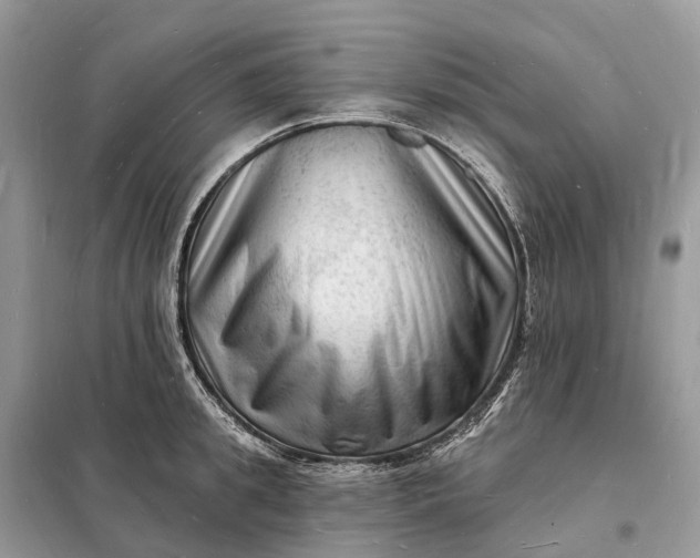 X0000098230949200805081219