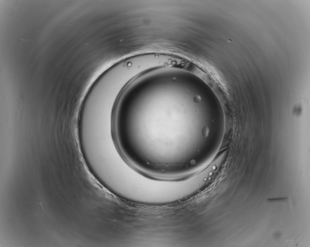 X0000098230950200805081219