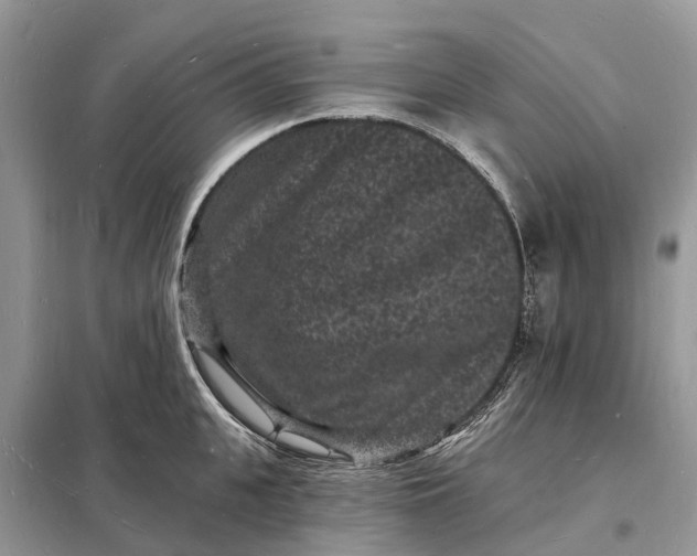 X0000098230951200805081219