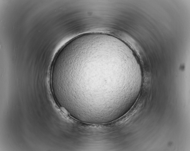 X0000098230952200805081219