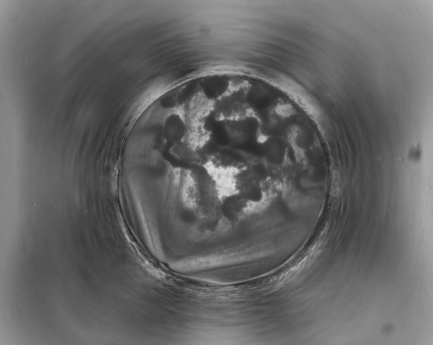 X0000098230953200805081219