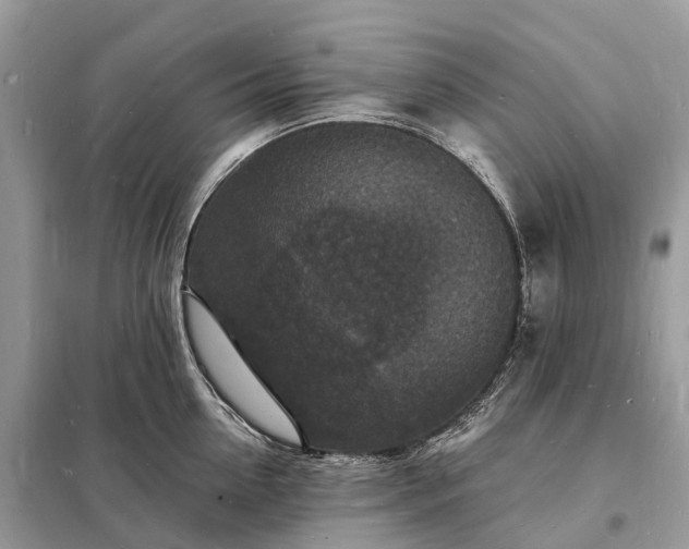 X0000098230954200805081219