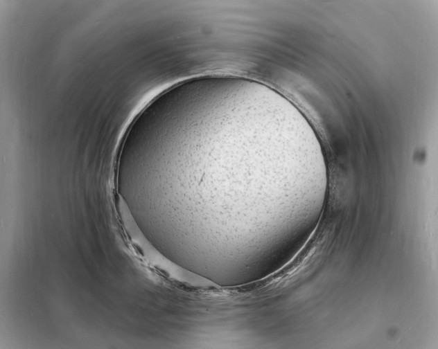 X0000098230956200805081219