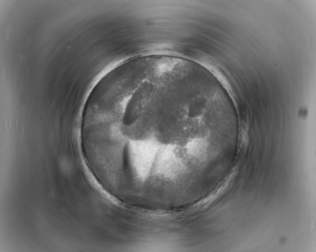 X0000098230957200805081219