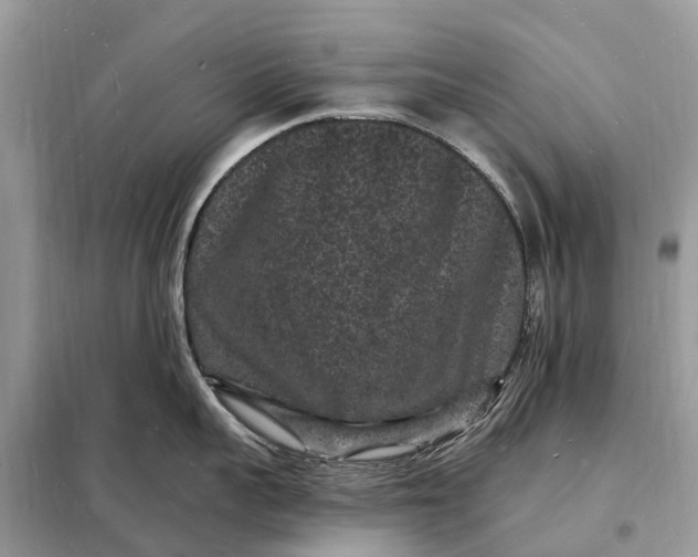 X0000098230959200805081219