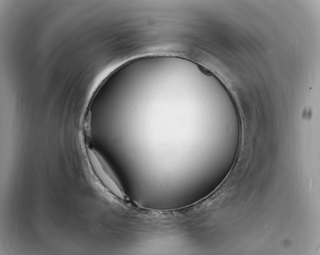 X0000098230960200805081219