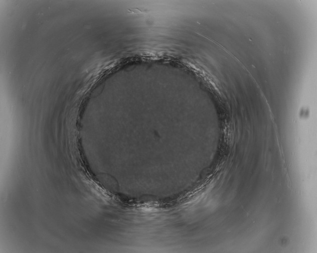 X0000098230961200805081218