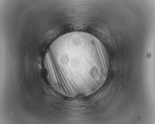 X0000098230962200805081218