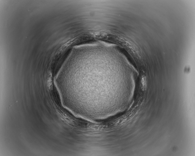 X0000098230963200805081218