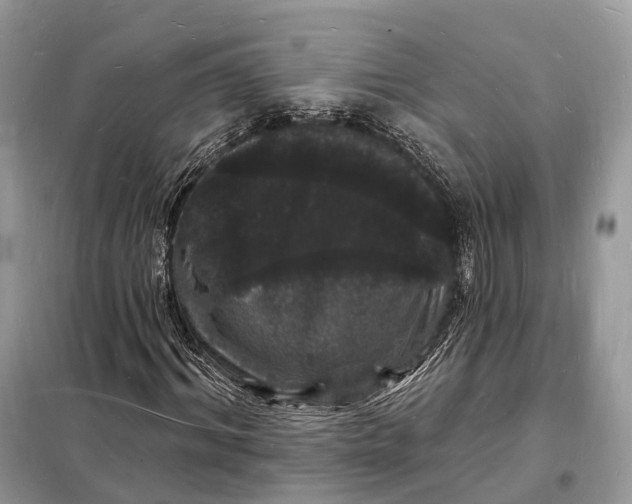 X0000098230964200805081218