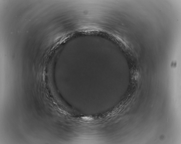 X0000098230965200805081218