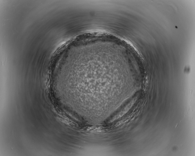 X0000098230967200805081218