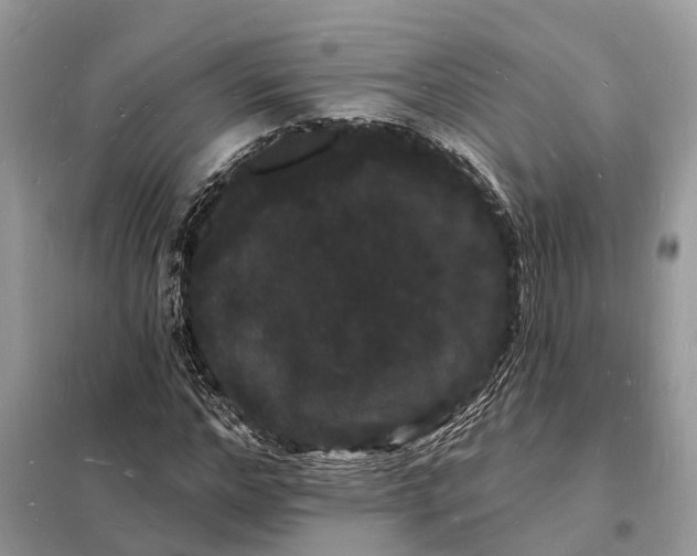 X0000098230968200805081218