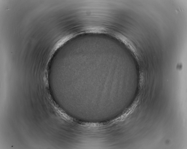 X0000098230970200805081218