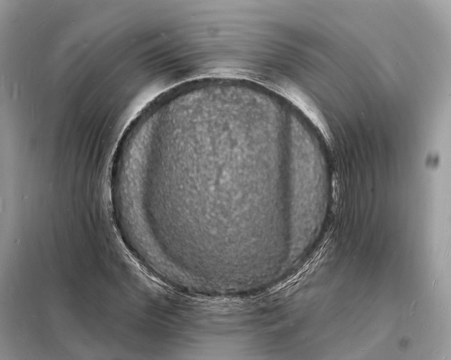 X0000098230972200805081218