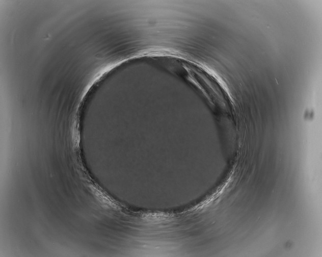 X0000098230973200805081218