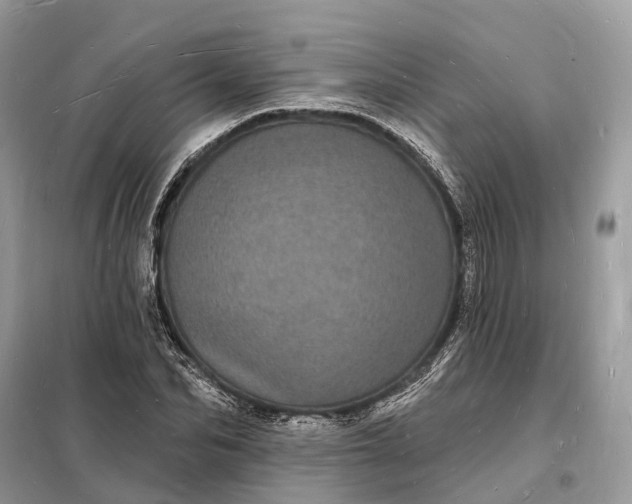 X0000098230974200805081218