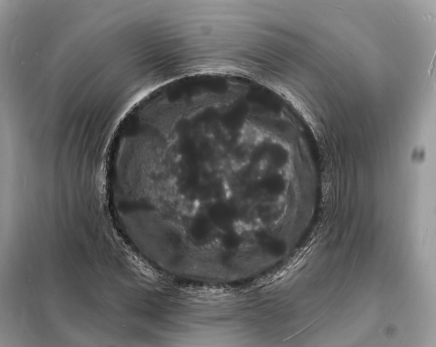 X0000098230975200805081218