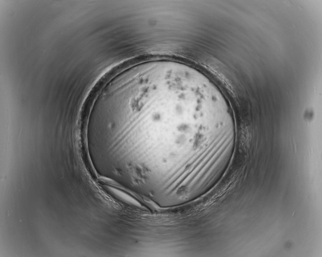 X0000098230976200805081218