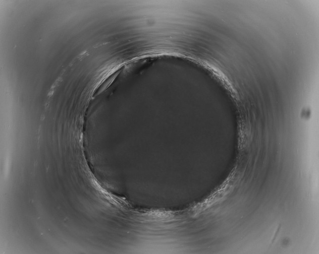 X0000098230977200805081218