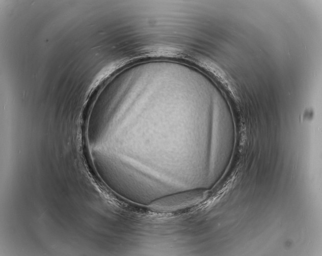 X0000098230978200805081218