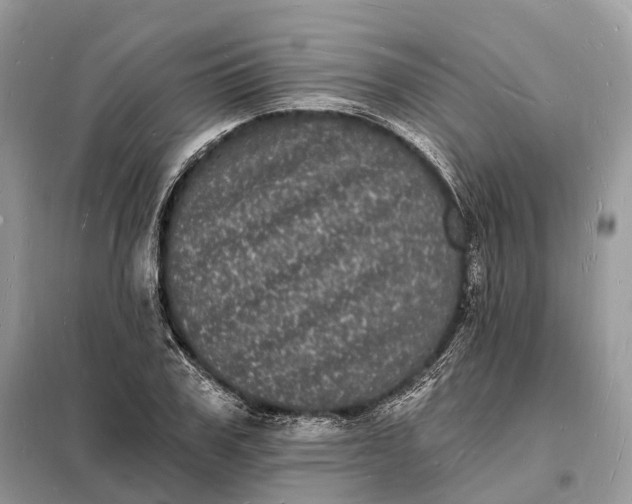 X0000098230979200805081218