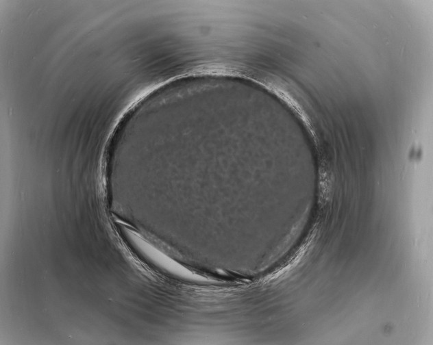 X0000098230981200805081218