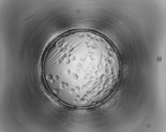 X0000098230982200805081218