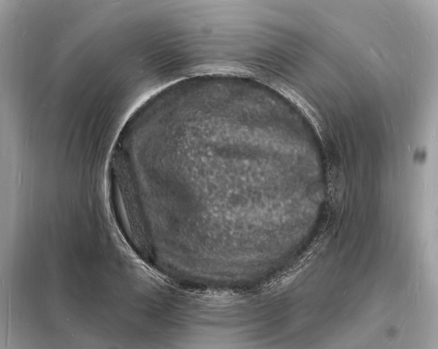 X0000098230983200805081218