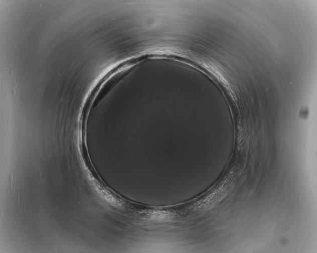 X0000098230984200805081218