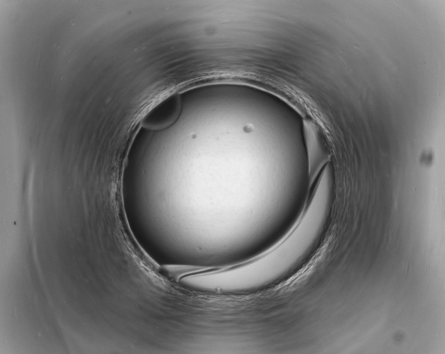 X0000098230985200805081218