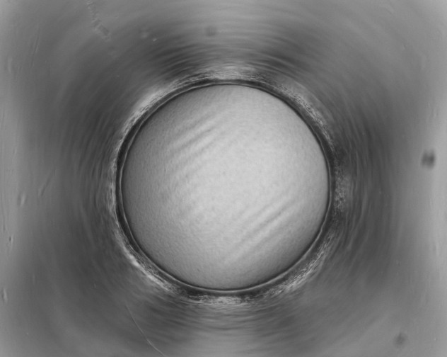 X0000098230986200805081218