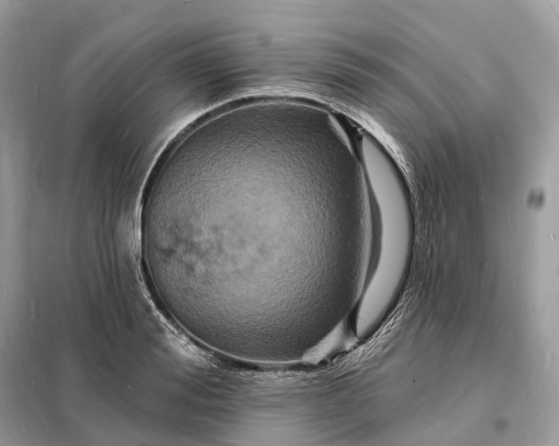 X0000098230988200805081218