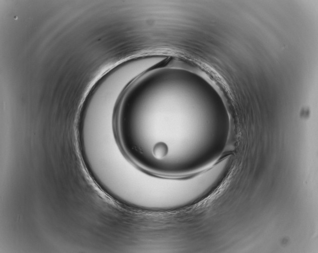 X0000098230989200805081218