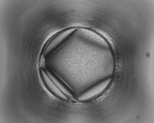 X0000098230991200805081218