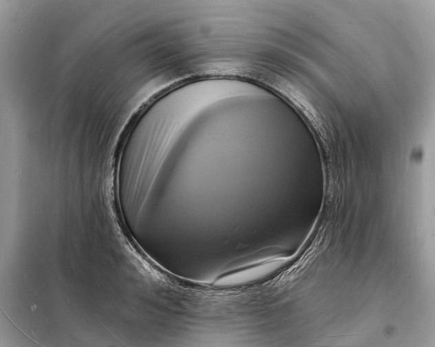 X0000098230992200805081218