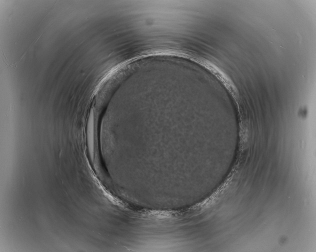 X0000098230993200805081218