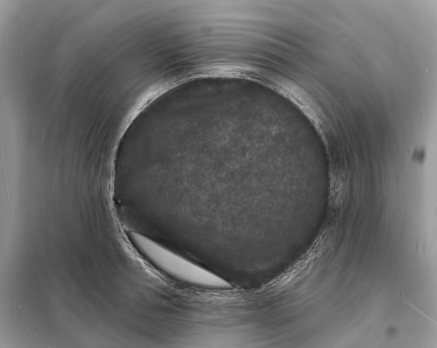 X0000098230994200805081218