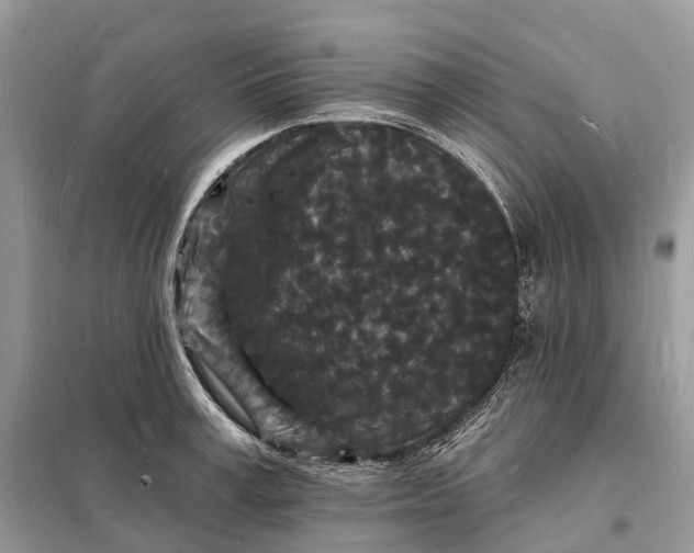 X0000098230995200805081218