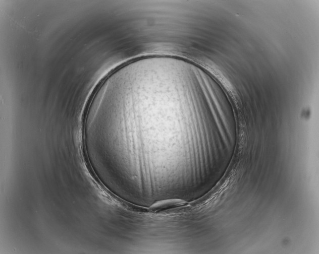 X0000098230996200805081218