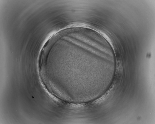 X0000098230997200805081218