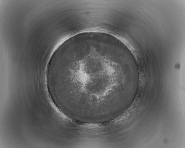 X0000098230998200805081218