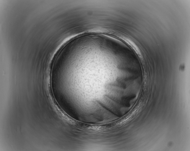 X0000098231000200805081218