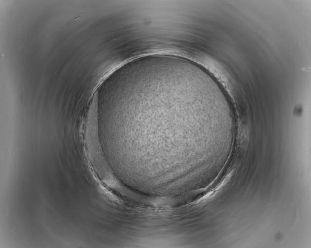 X0000098231001200805081217