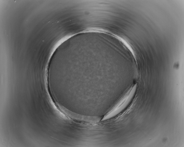 X0000098231003200805081217