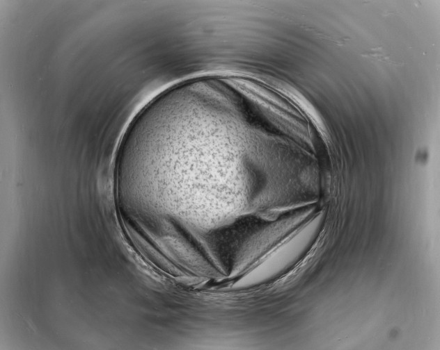 X0000098231004200805081217